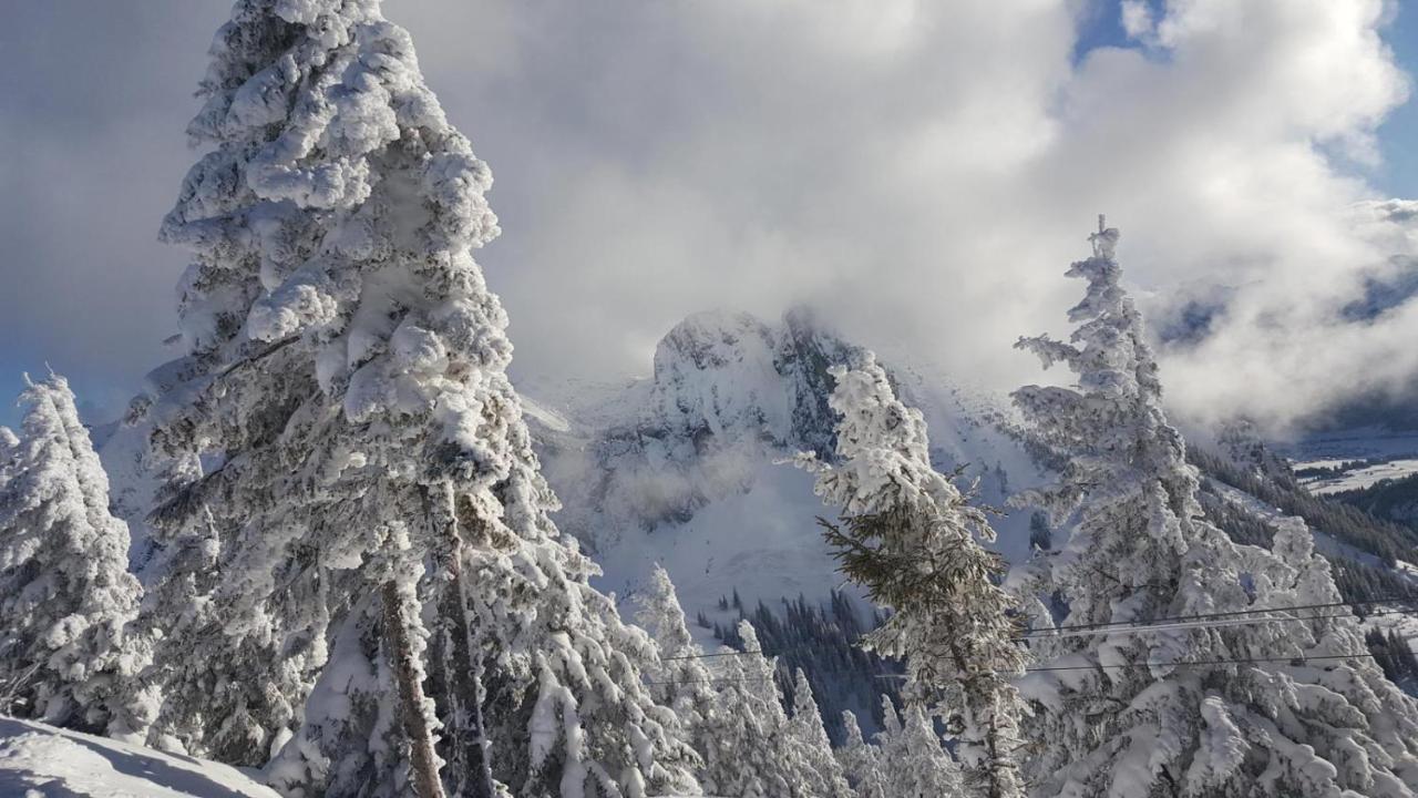 Alpenchalet Vils Tirol المظهر الخارجي الصورة